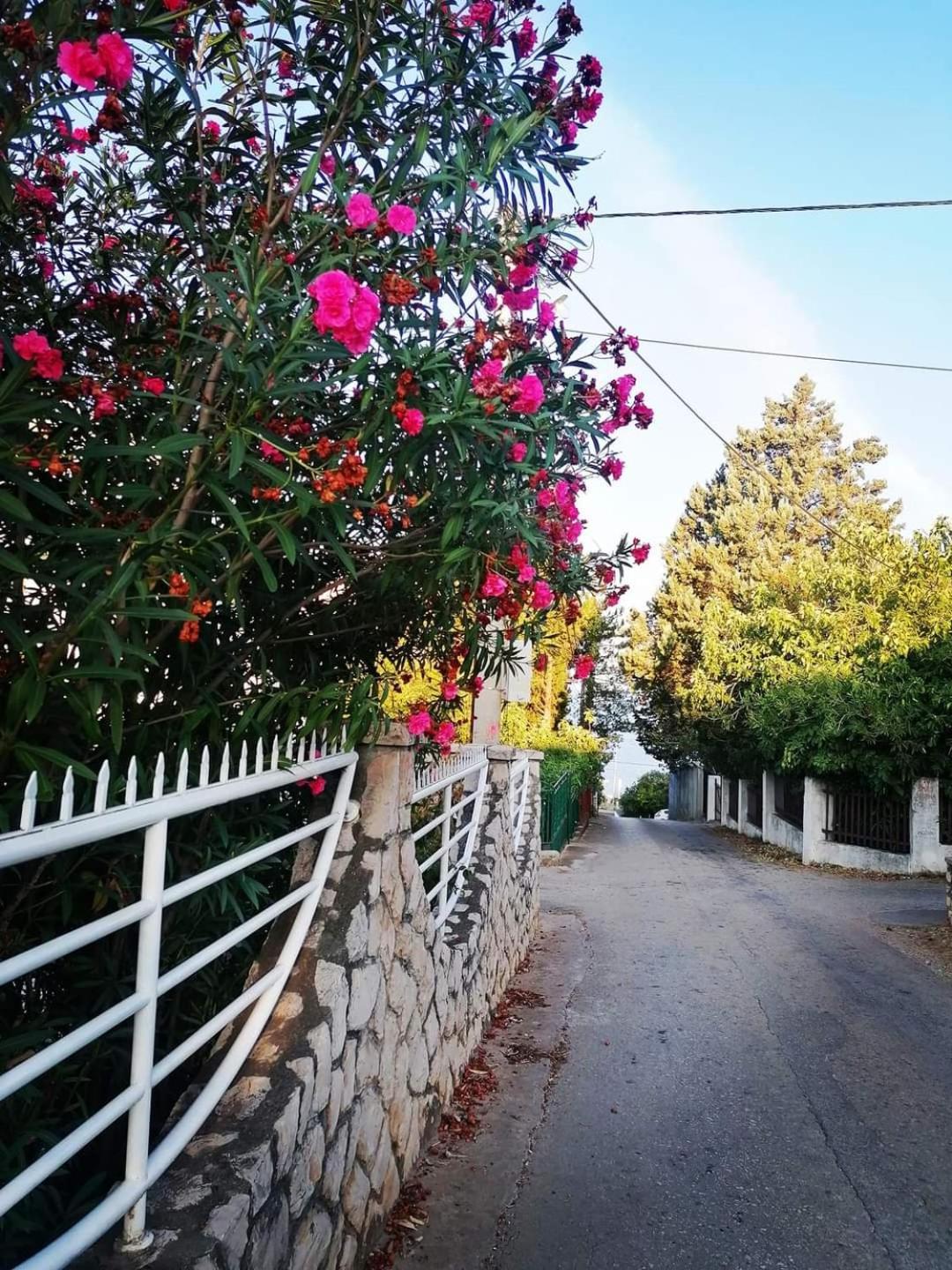 Apartman Ljubica Utjeha